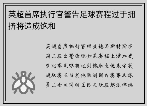 英超首席执行官警告足球赛程过于拥挤将造成饱和